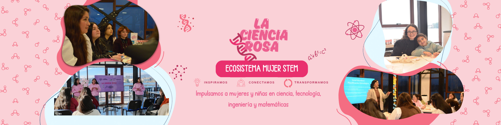 Banner de La Ciencia Rosa